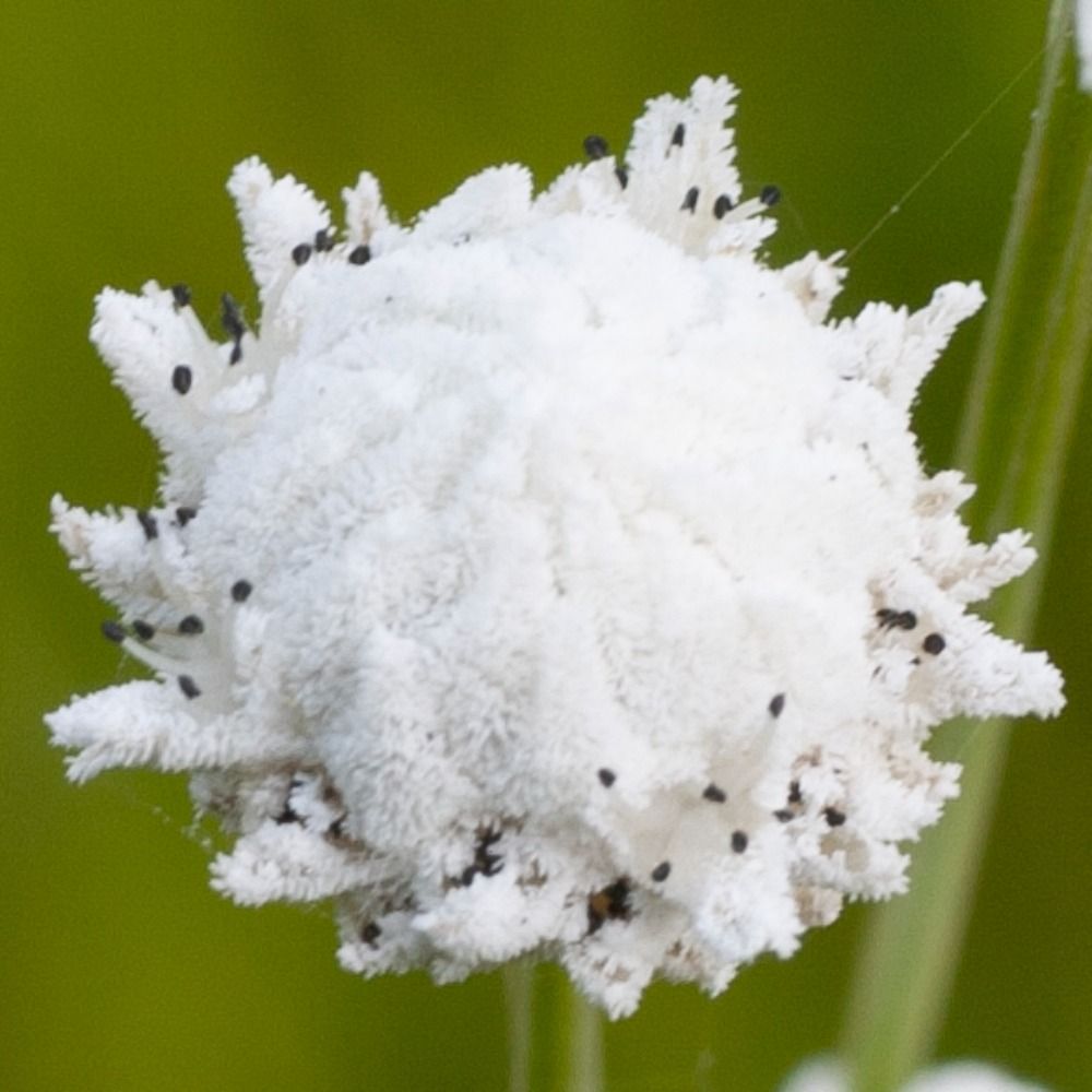 imonikike.bsky.social