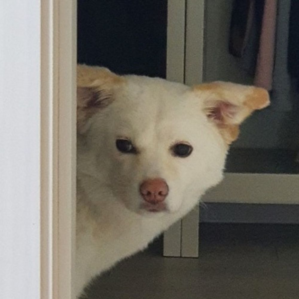 우민
