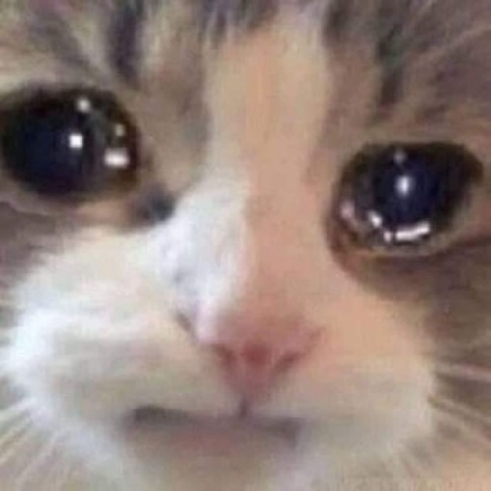 새언