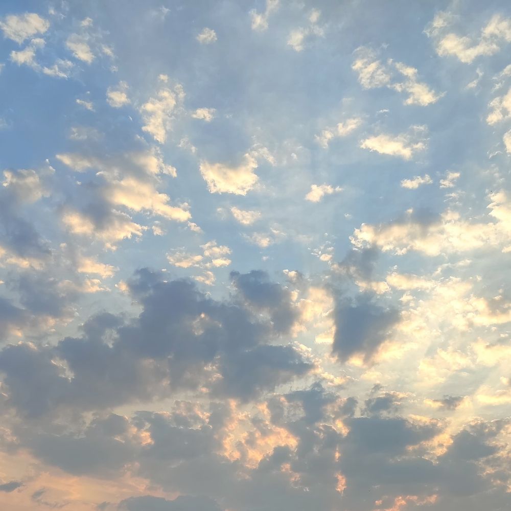 cloudd