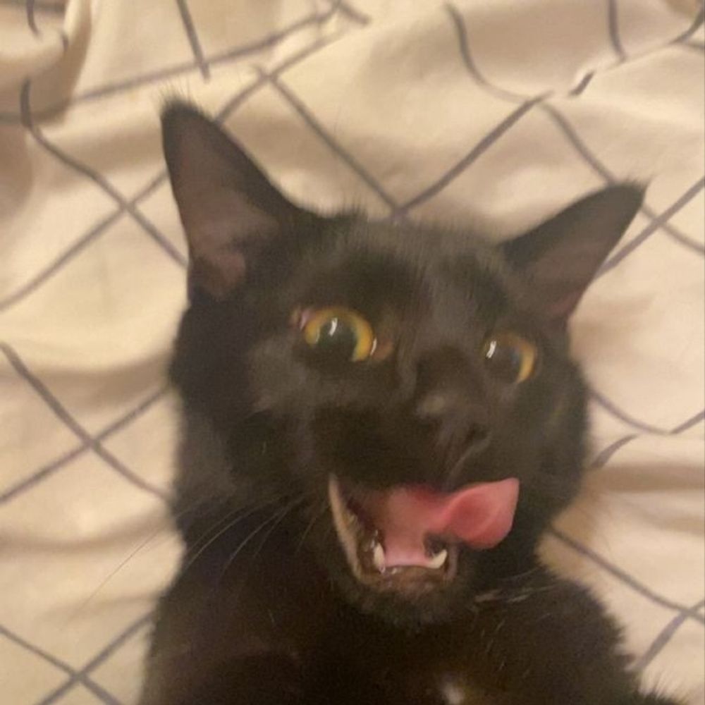 Zer