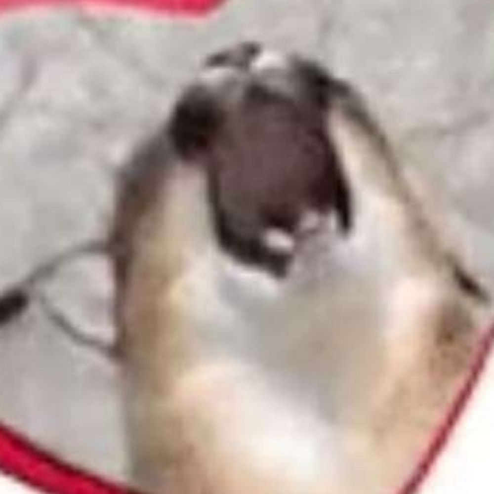 MY BALLS