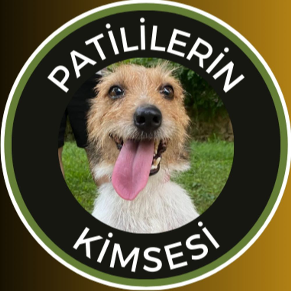 Patililerin Kimsesi