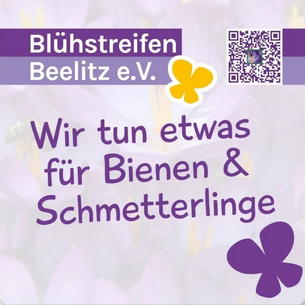 Blühstreifen Beelitz e.V