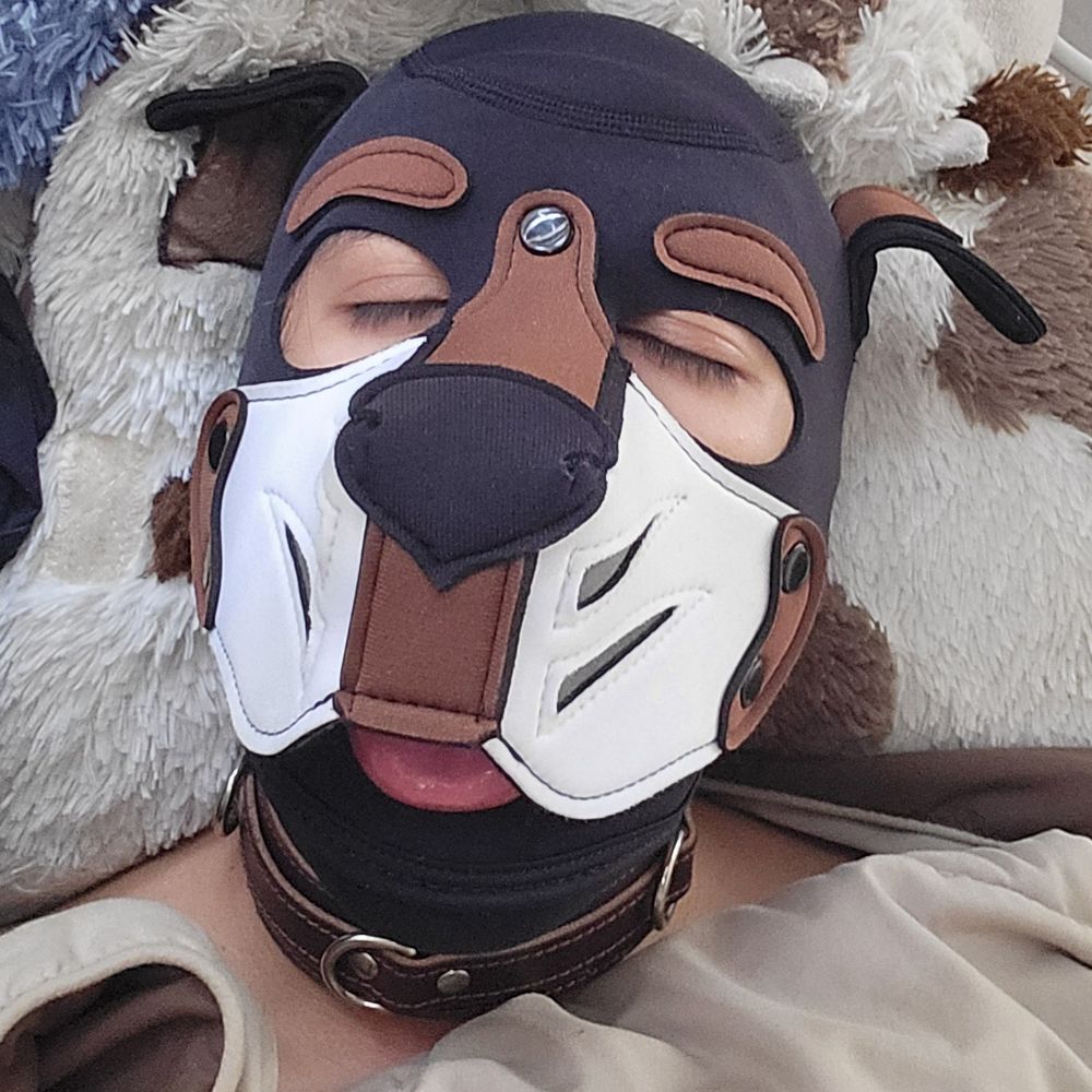 Pup Lass