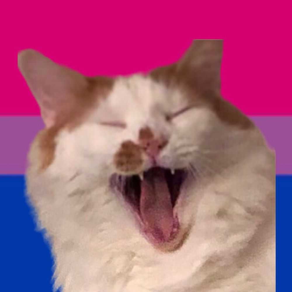 Petsruletheuniverse