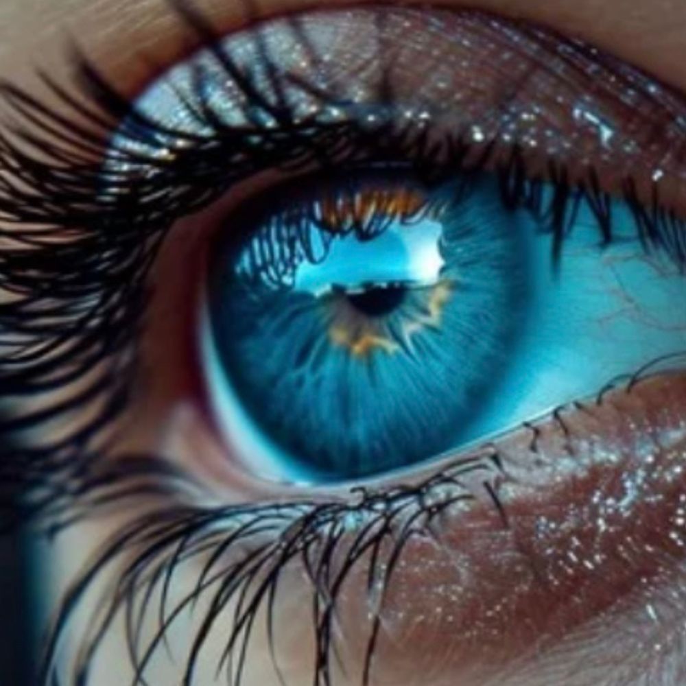 brandyblue.bsky.social profile picture