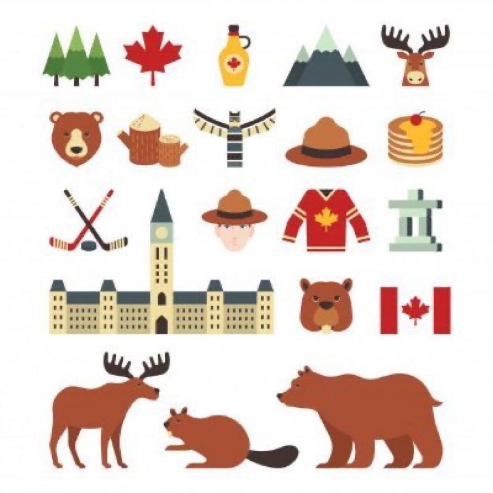 Always hopeful 🇨🇦
