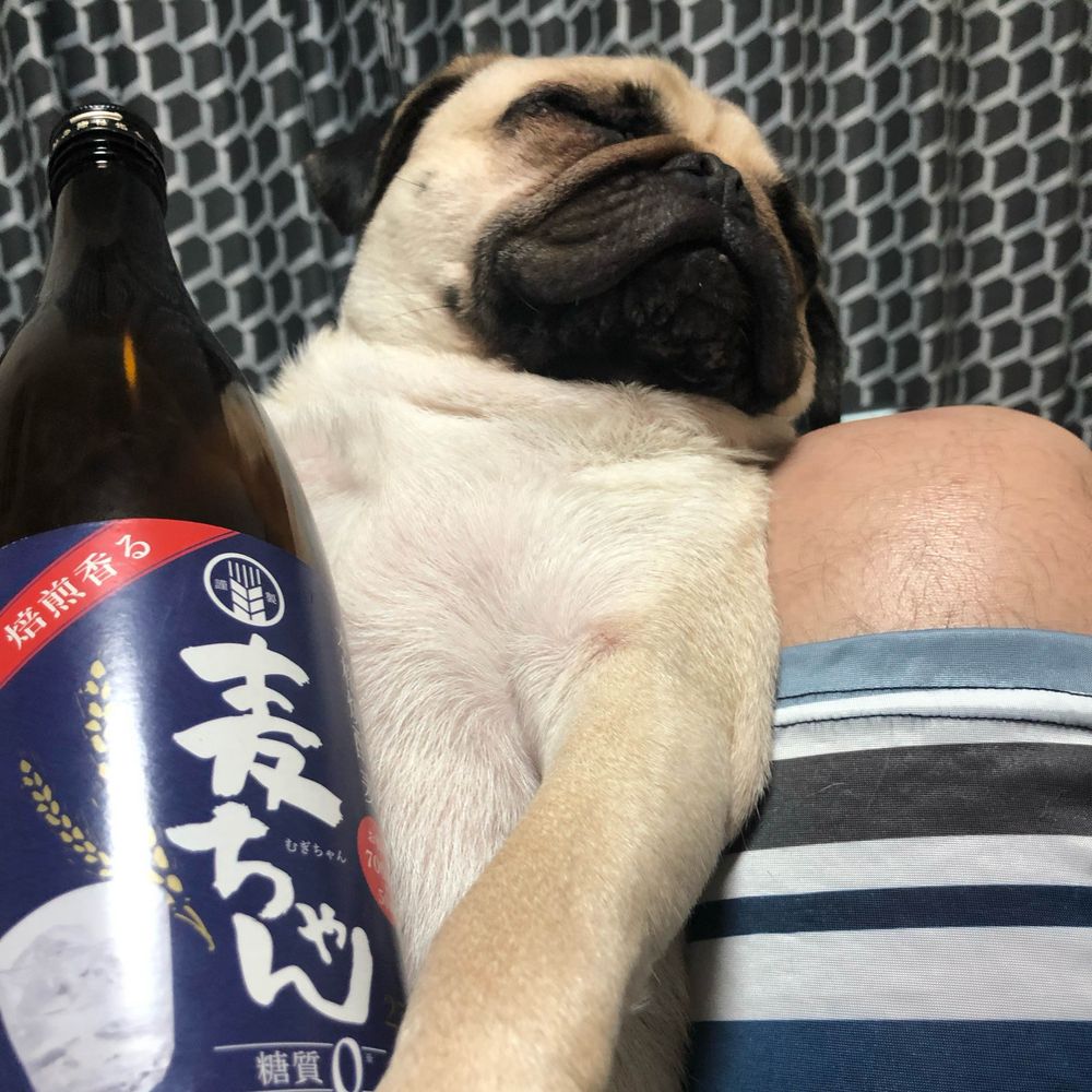 たむたむ