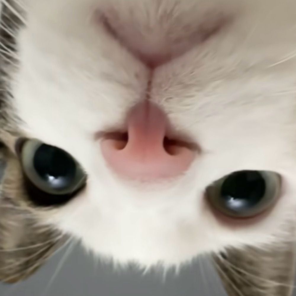 👽