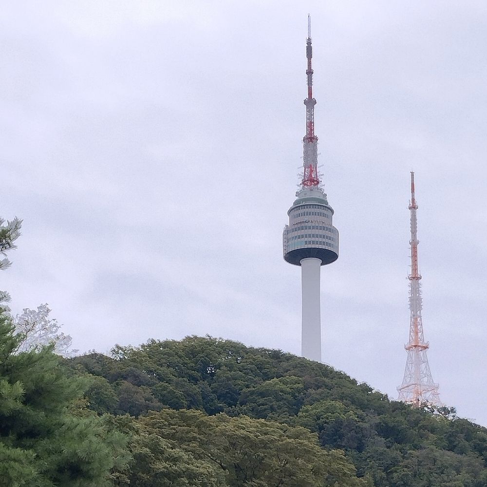수도꿘 서부쪽 댕댕부부
