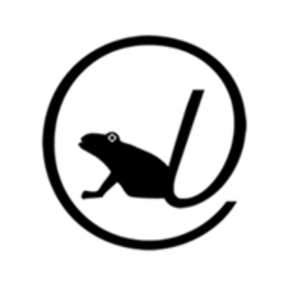 leapfrog.cl