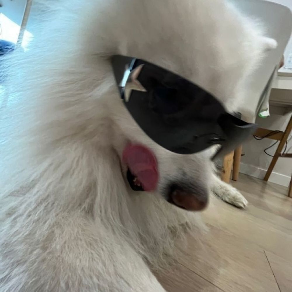 Gab
