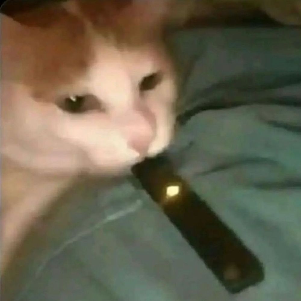 zu