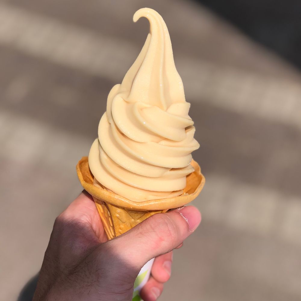 むとうです