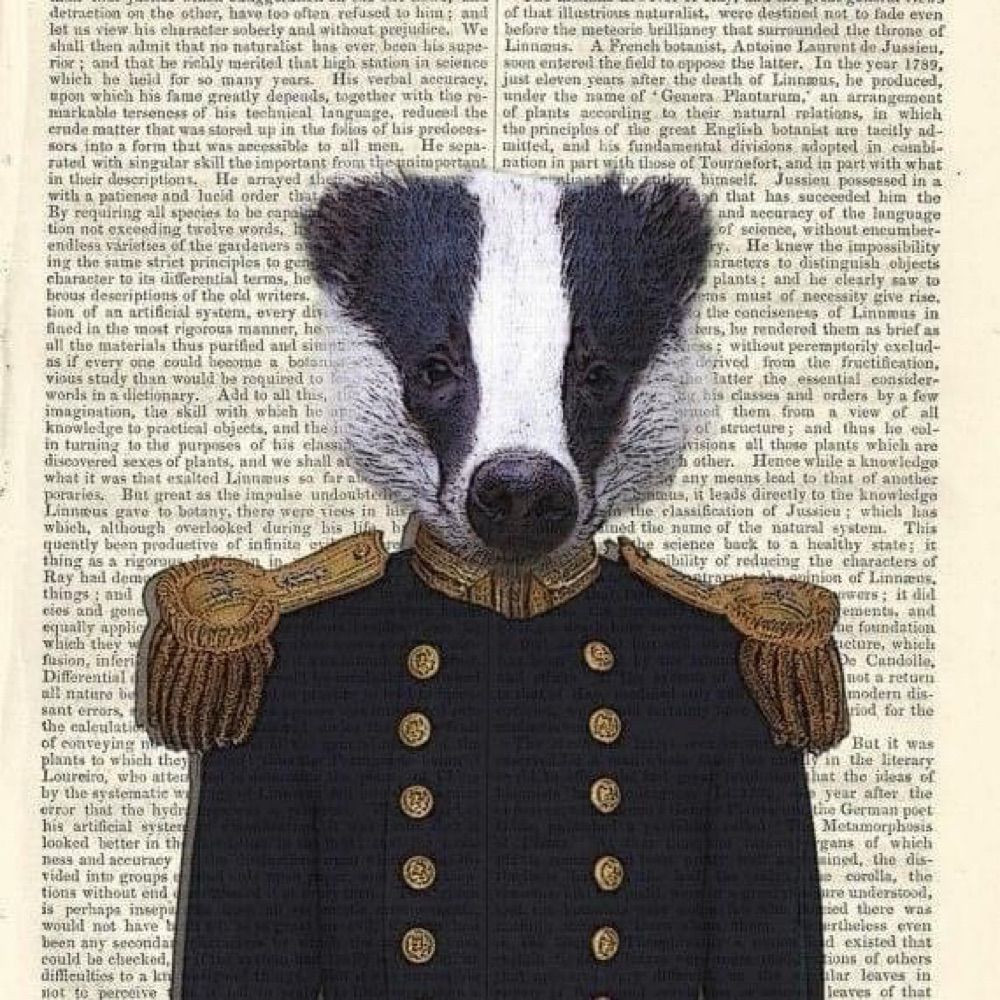 Honey Badger