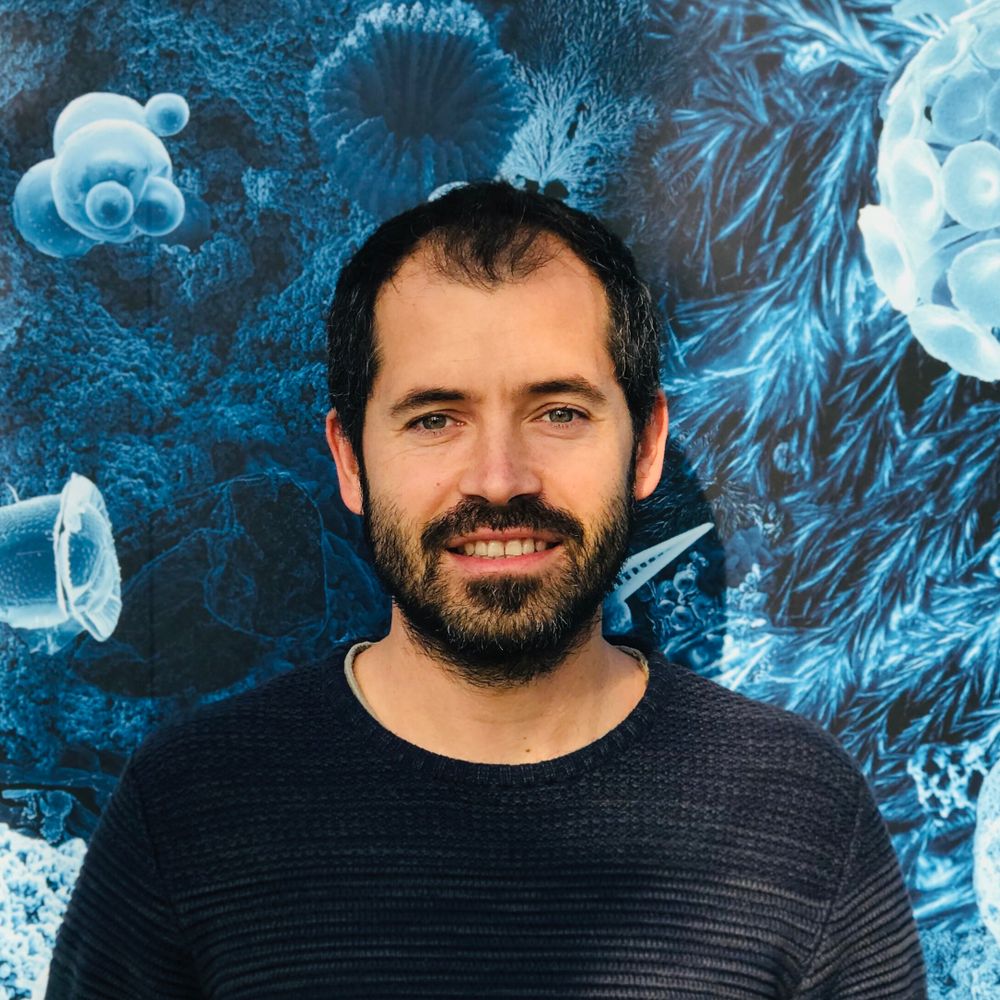 Fran Cornejo-Castillo