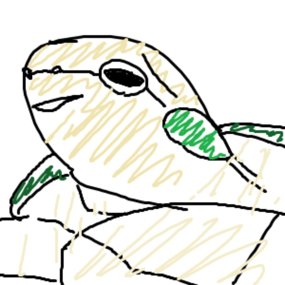 ミドリミミガメ