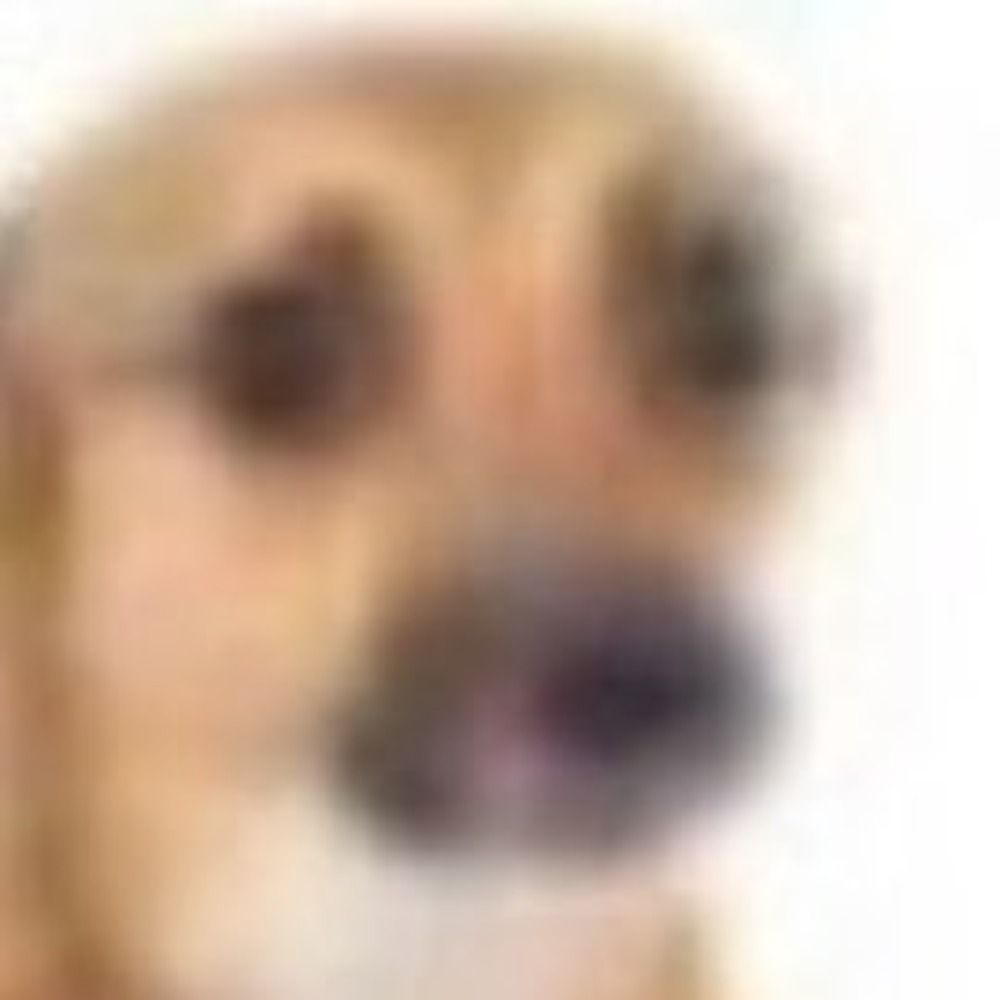 Brieftrolio