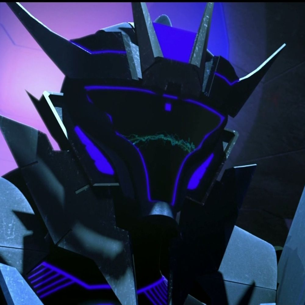 Soundwave's conjunx