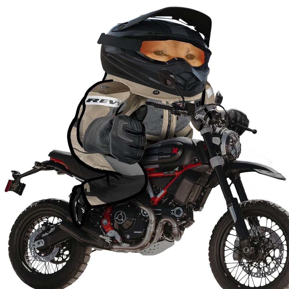 Ducati Desert Fella 