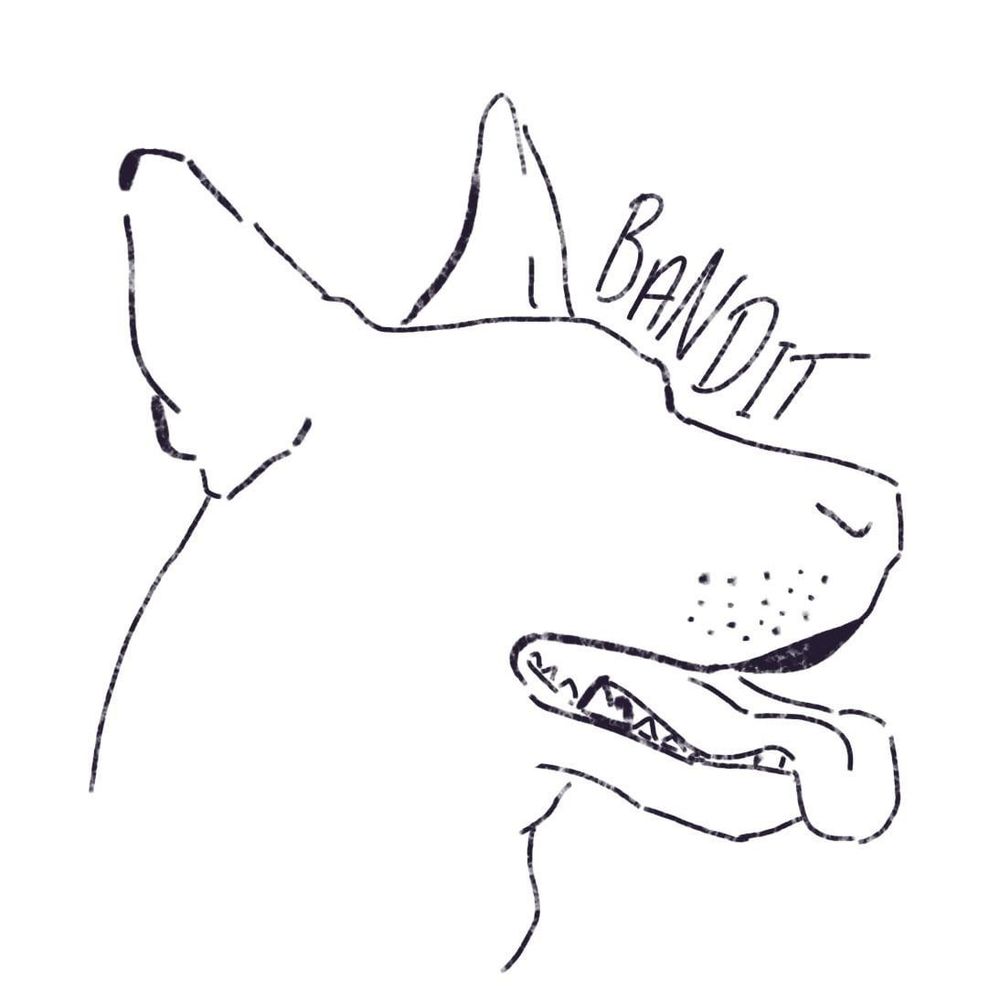 Delinquent Dingo