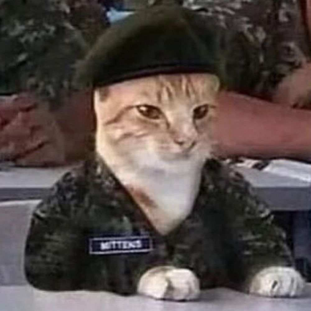 ステーキ