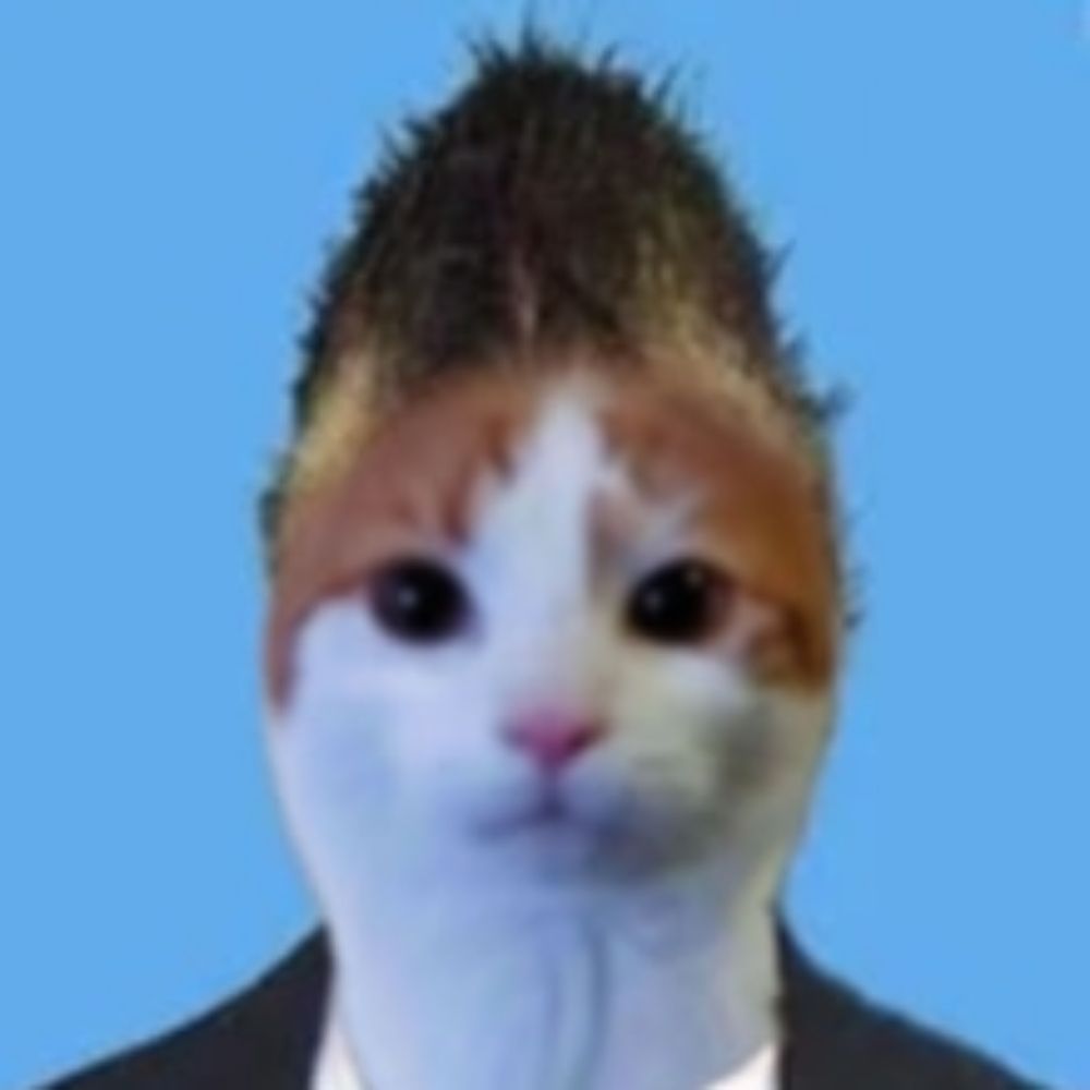 Cool cat on screen