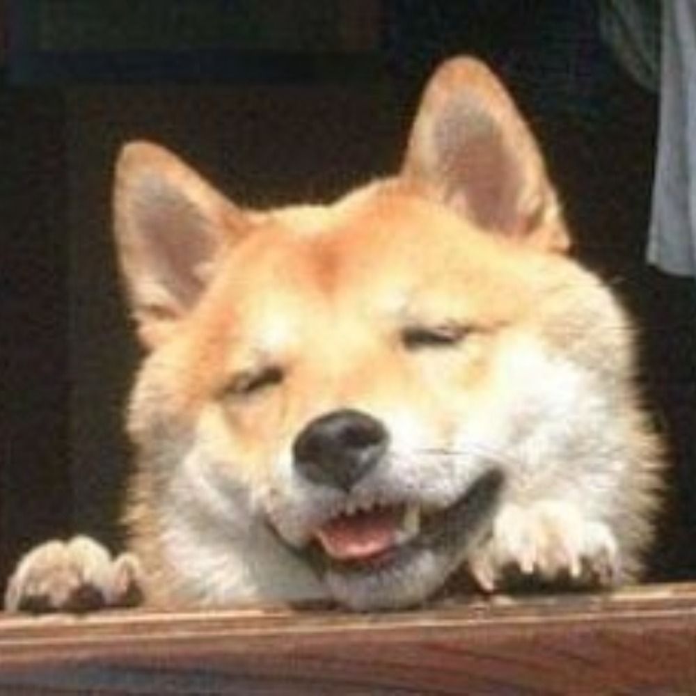 かっつん
