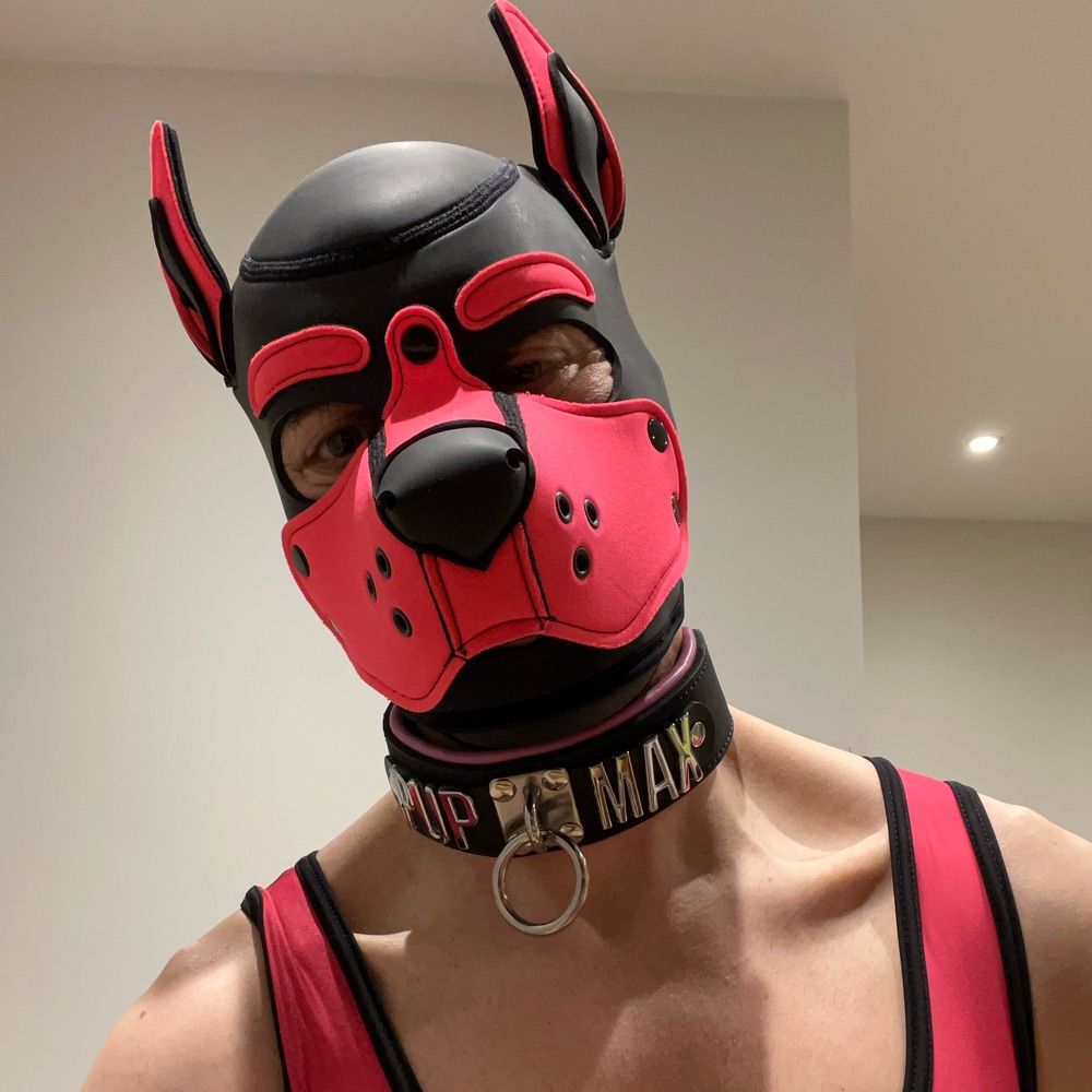 Max da Pup