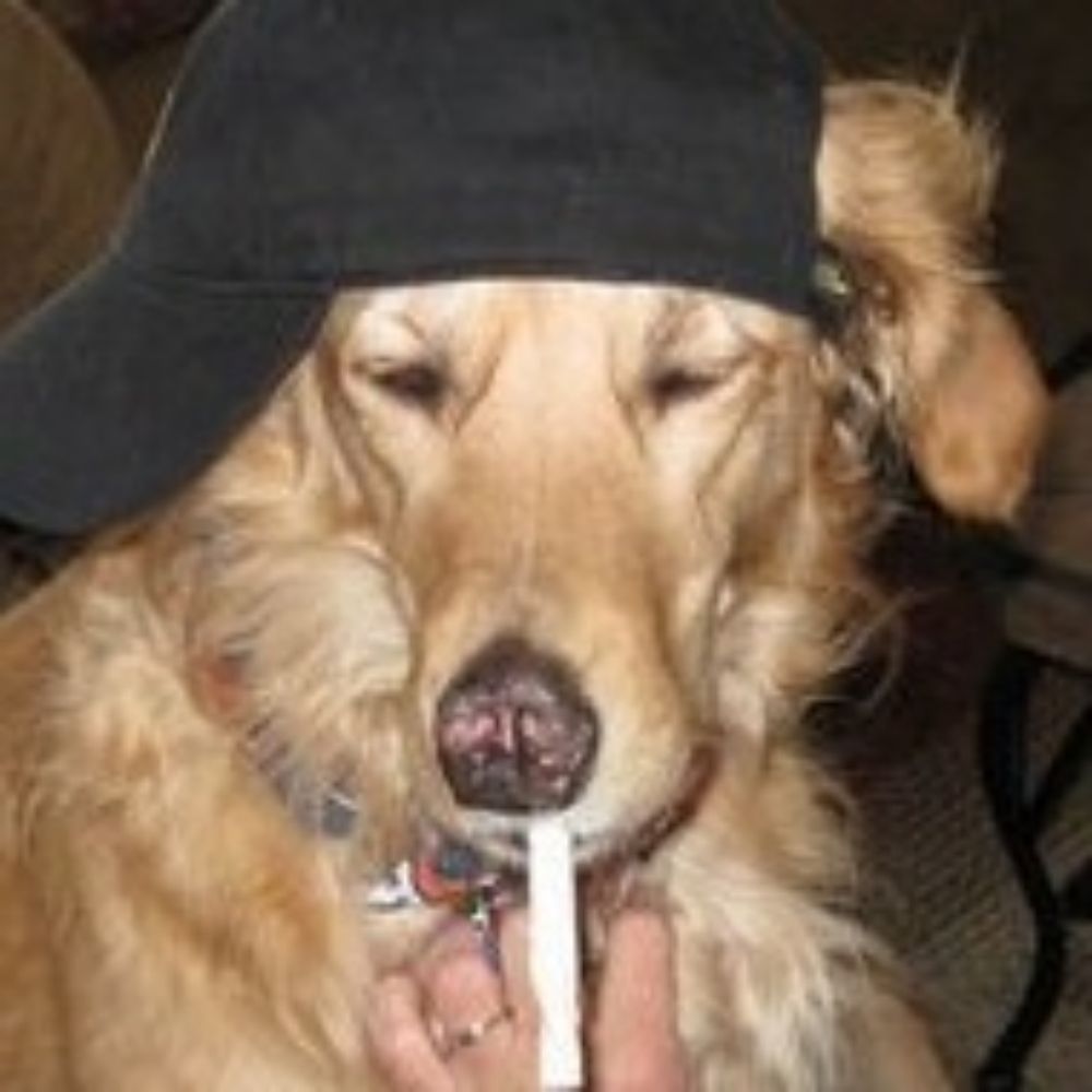 Jack Oph