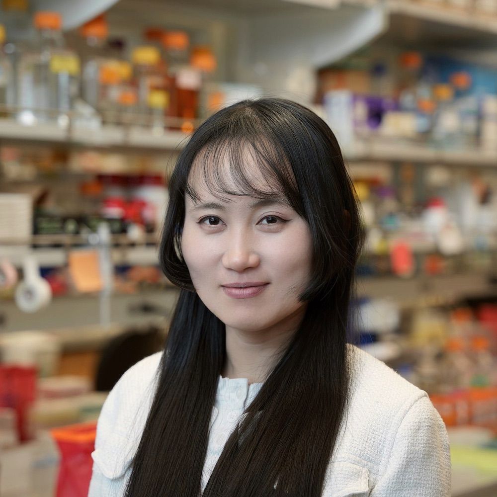 Linna An, PhD