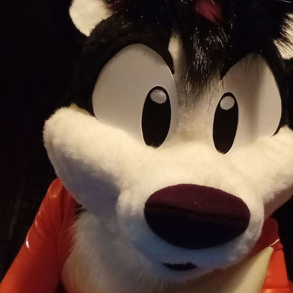 Simo Skunk