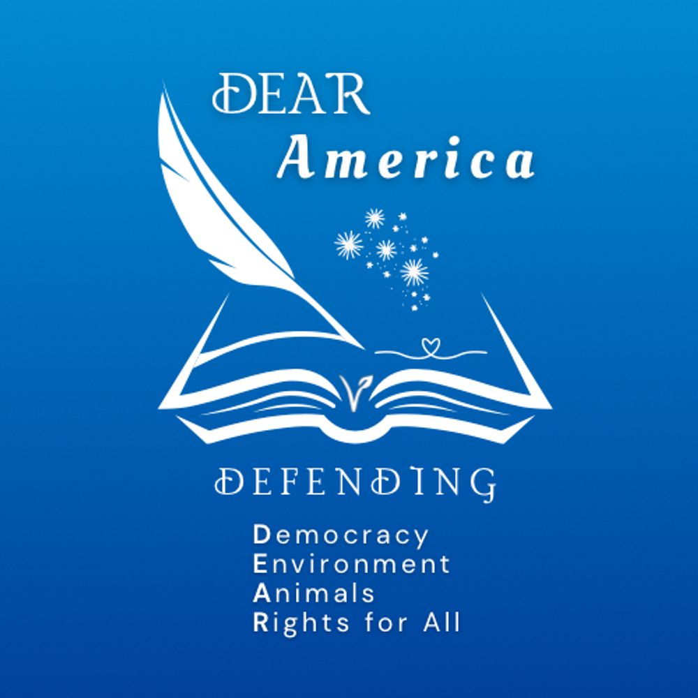 dearamerica704.bsky.social profile picture