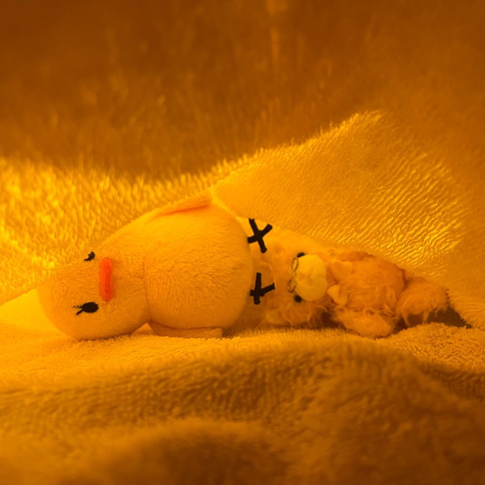 いとひきのいち