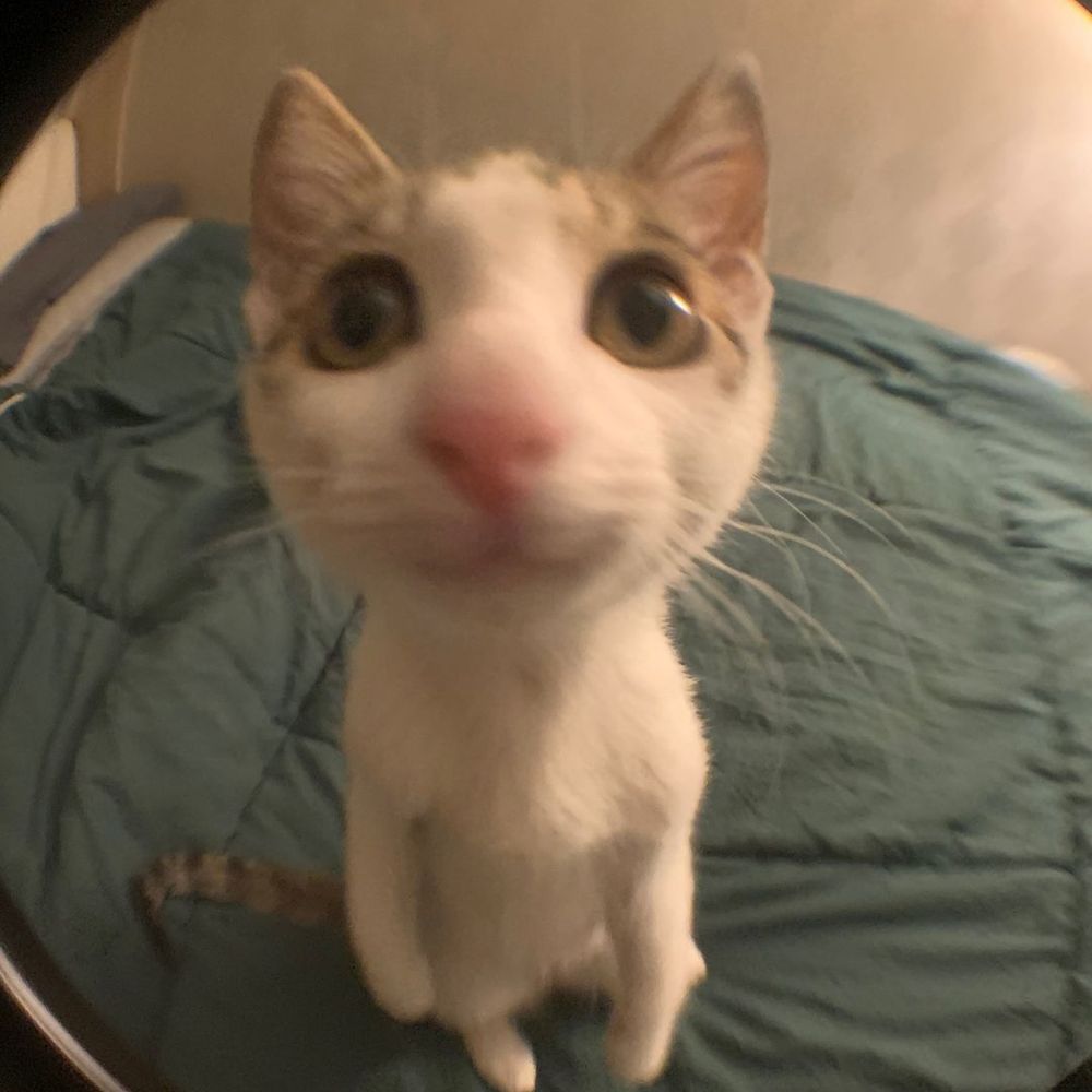Pyaaasta