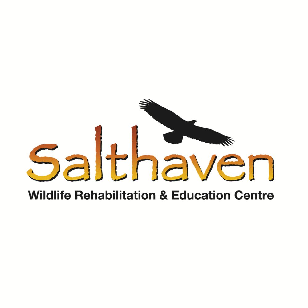 Salthaven Wildlife Rehabilitation & Education Centre