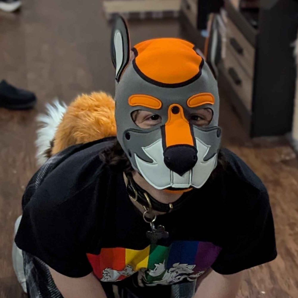 Pup Kip!