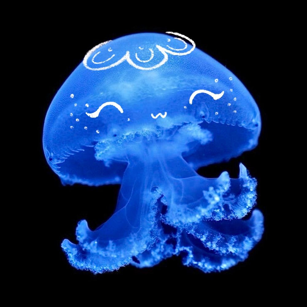 ⋆｡˚ Starjelly⋆｡˚ ✩