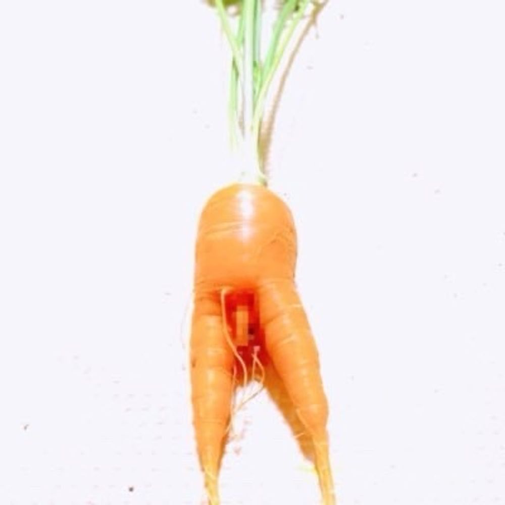 にんじん🥕