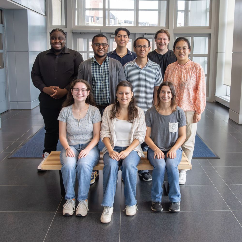 Brito Querido Lab 