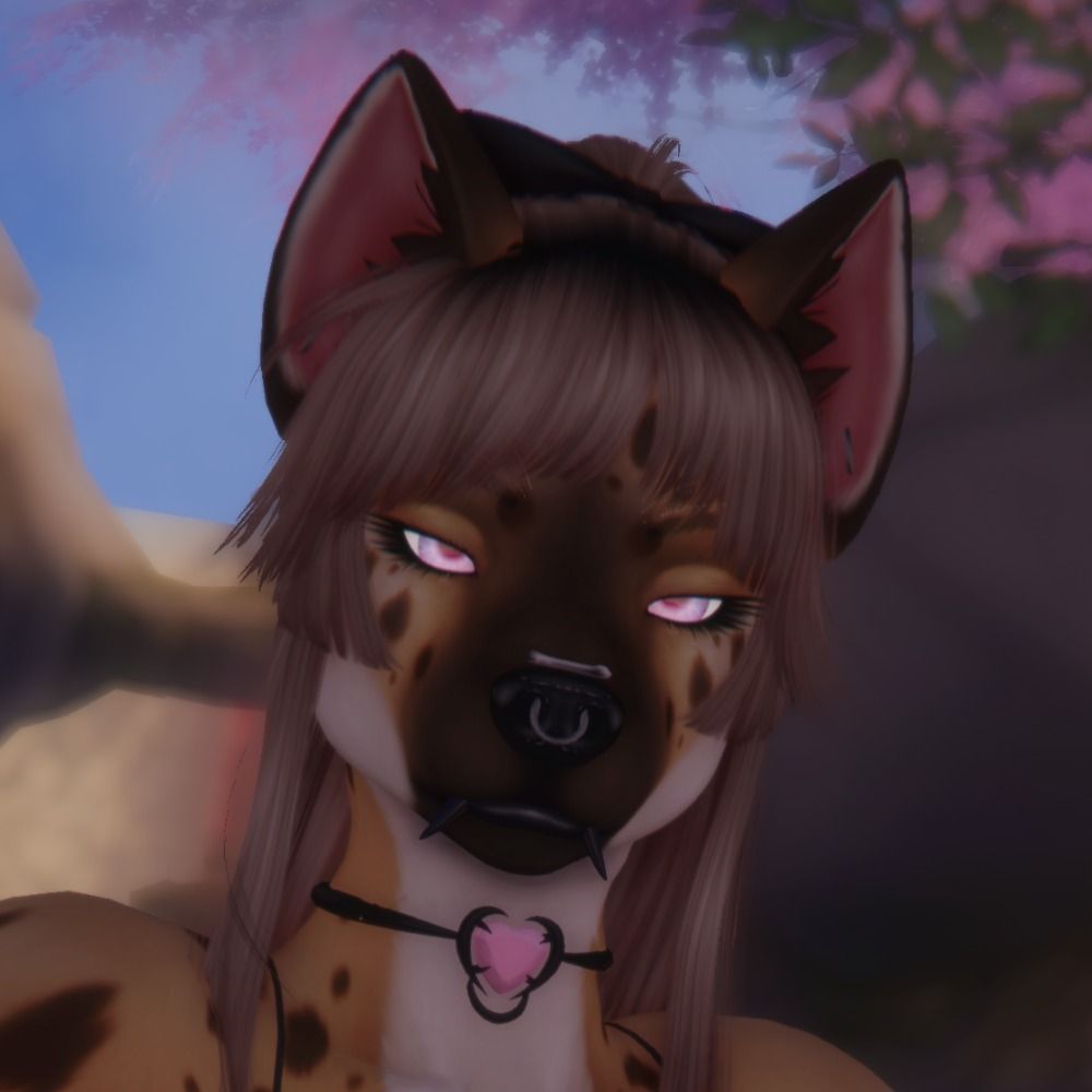 AkiraWilde