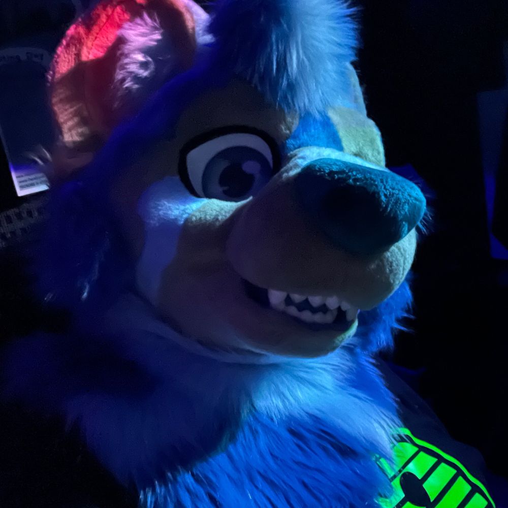 RedPandaBash 🔞