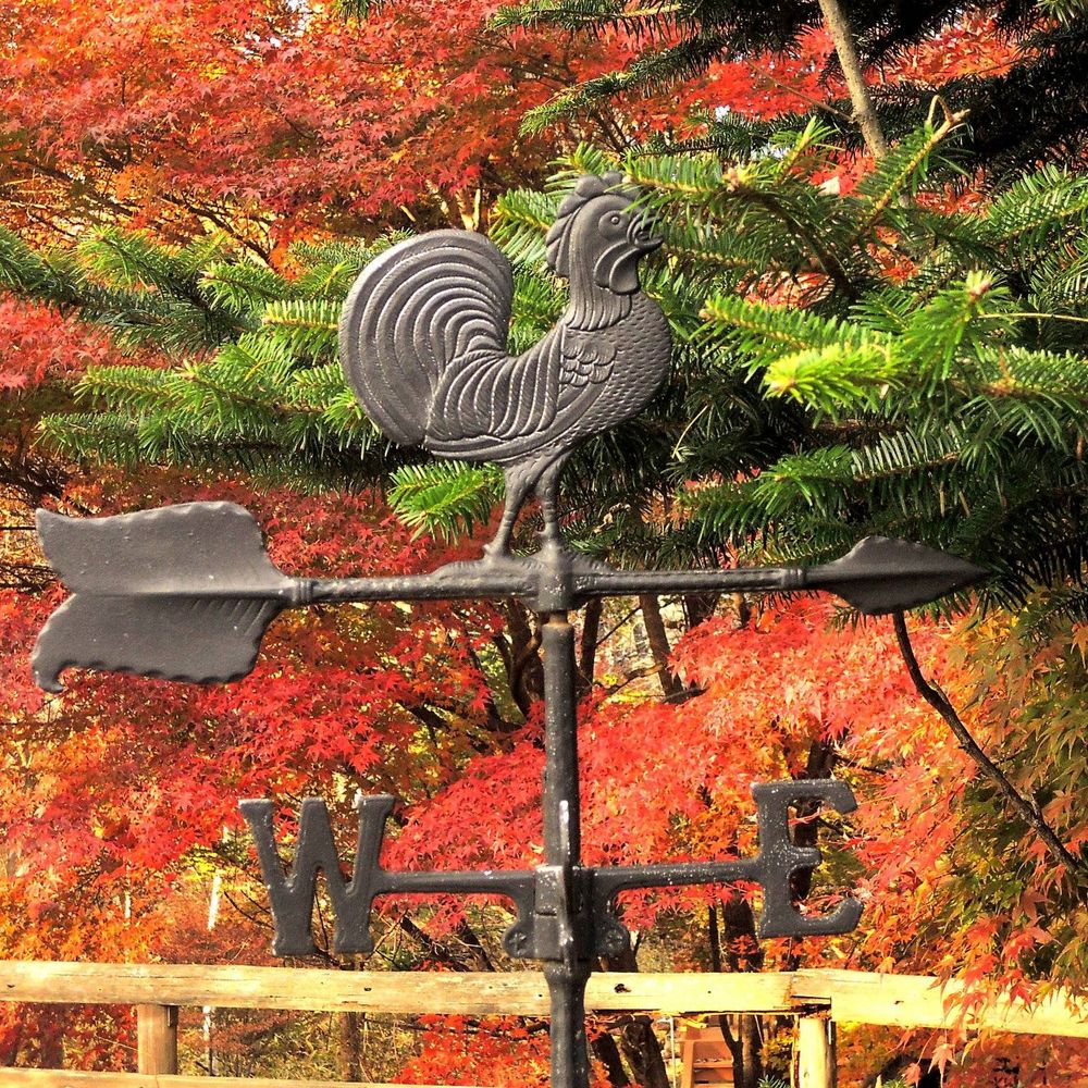 romaspqr.bsky.social