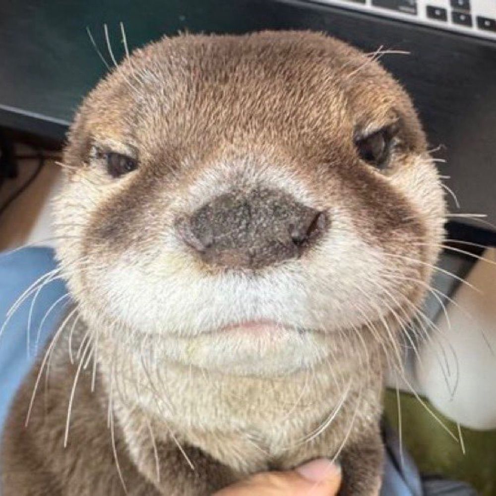 💬