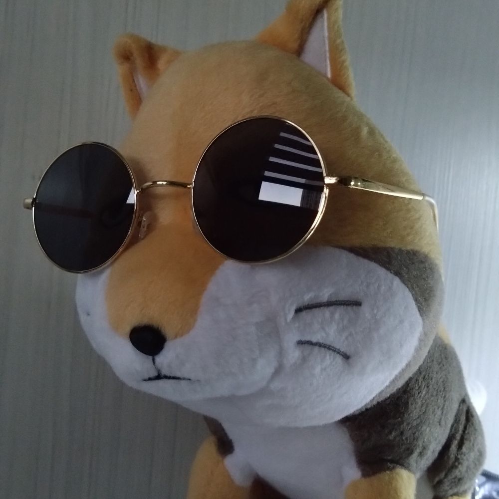 (・ω・`)...