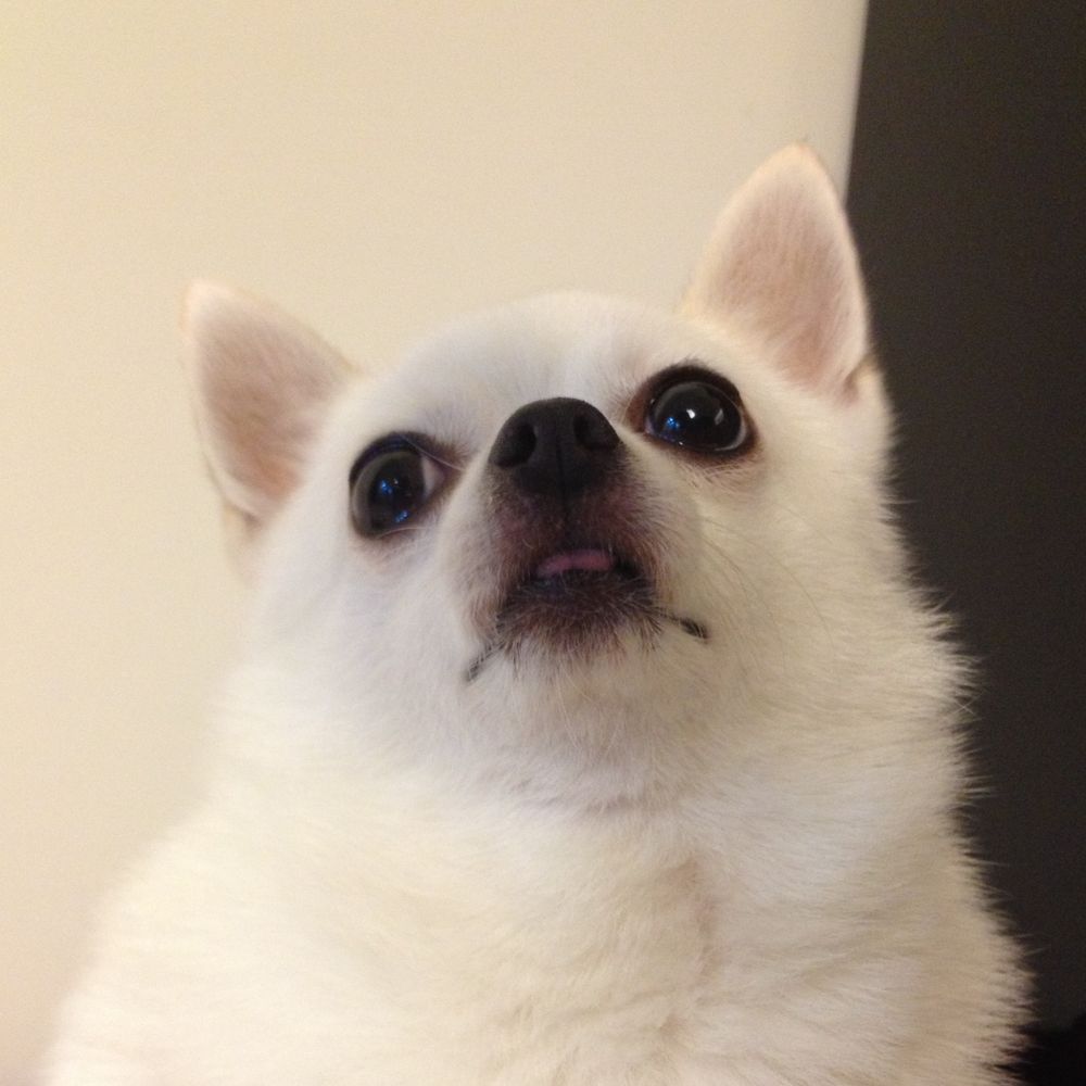メイ