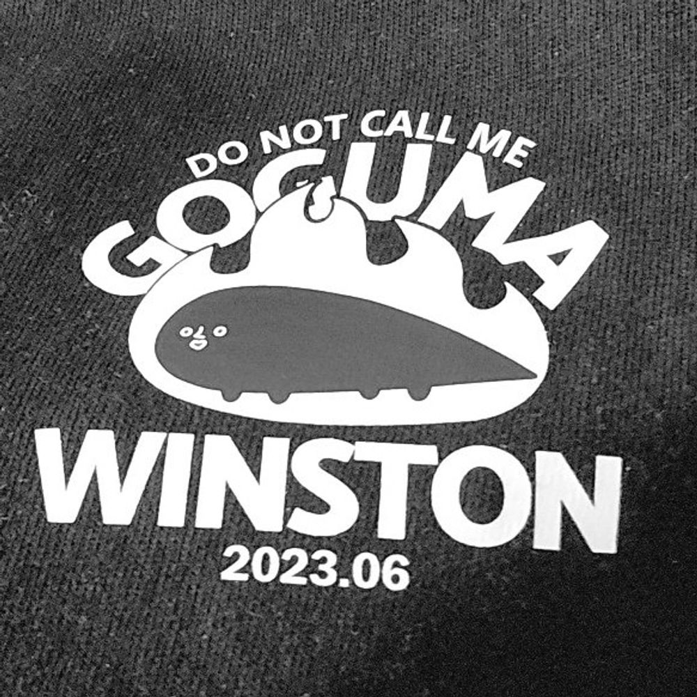 WINSTON