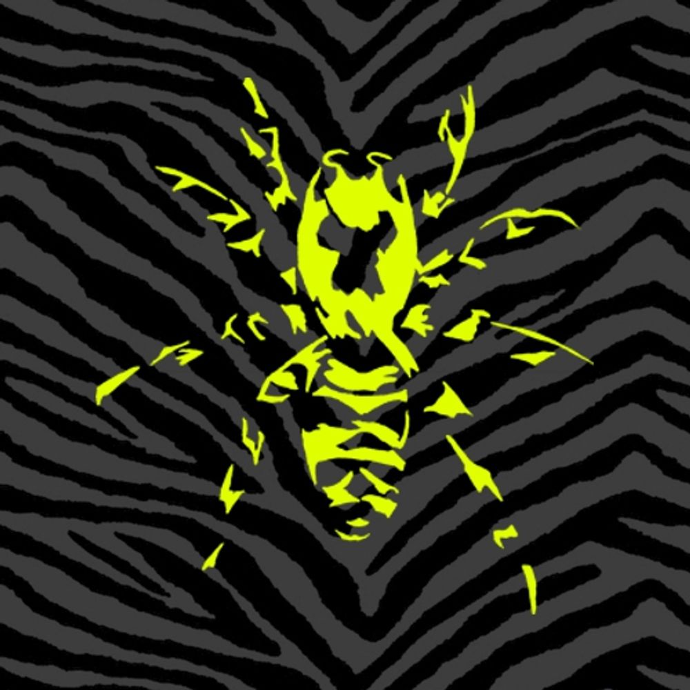 Zebraspider eco anti-fashion
