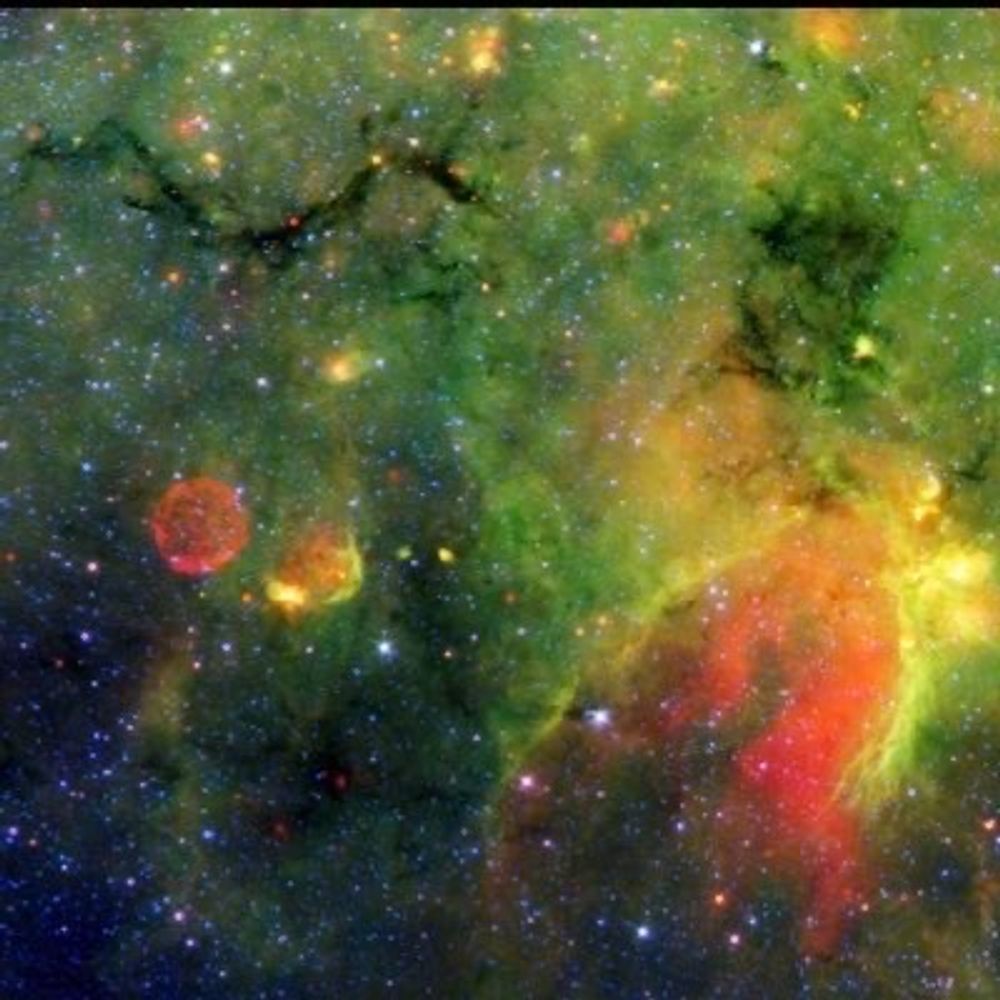 Celestial Octopus
